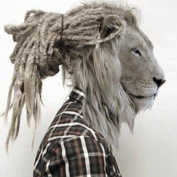 Meet your Posher, Adam - Picture 1 of 1